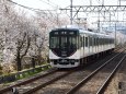 桜と京阪電車