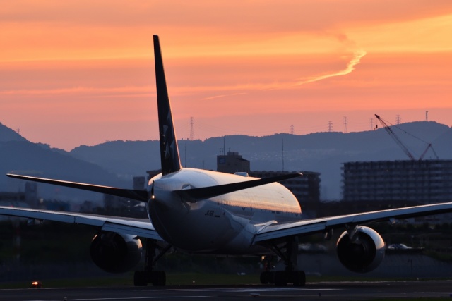 梅雨間のSTAR ALLIANCE