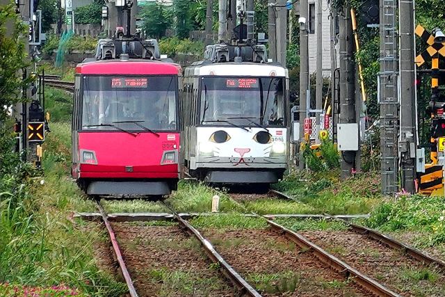 すれ違う世田谷線