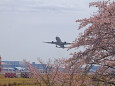 成田空港