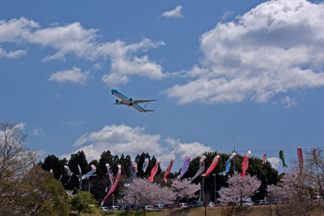 さくらの山公園