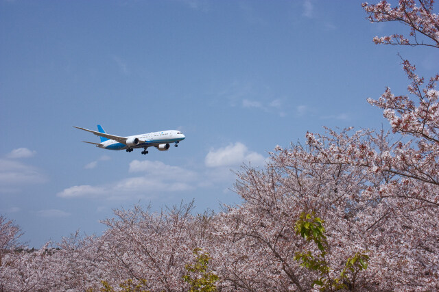 成田空港