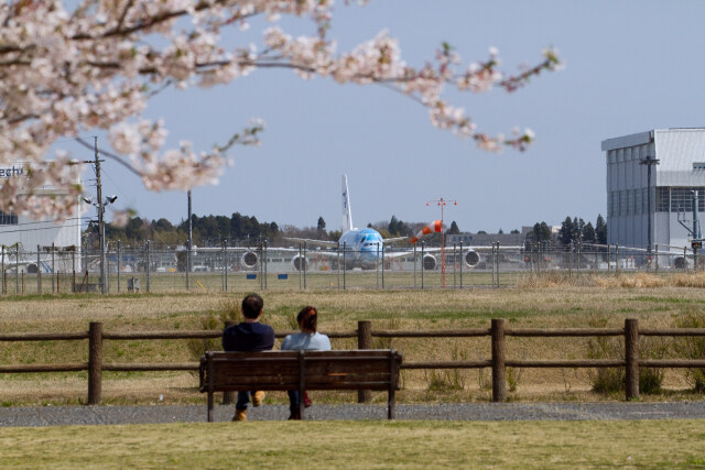 ハワイの夢