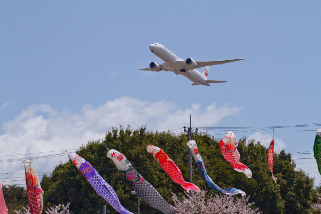 来年は空いっぱいに！