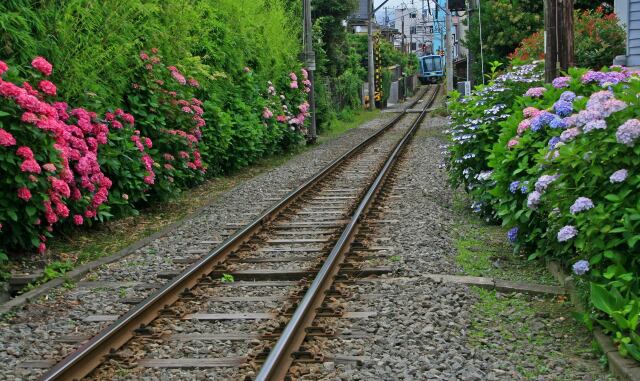 あじさい路線