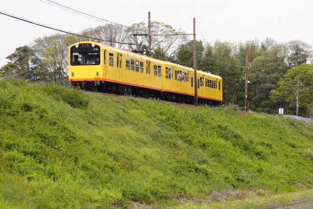 黄色い電車