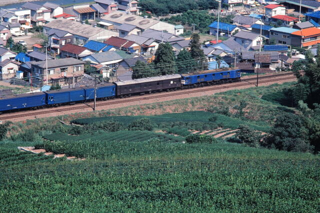 昭和の鉄道114 茶畑を行く