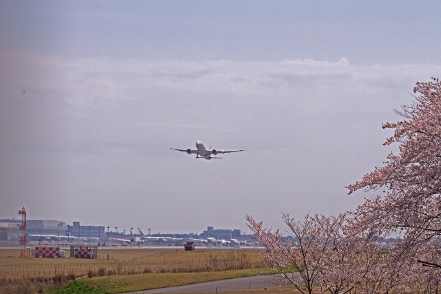 成田空港