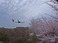 成田空港