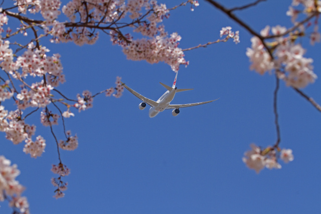 成田空港