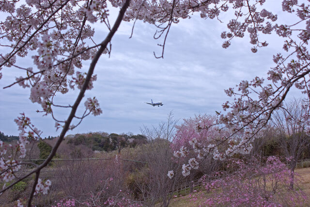 成田空港