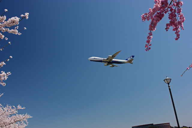 成田空港