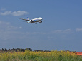 成田空港