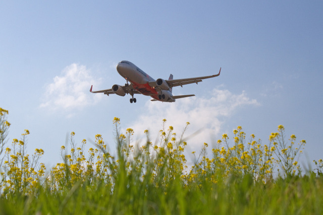 成田空港