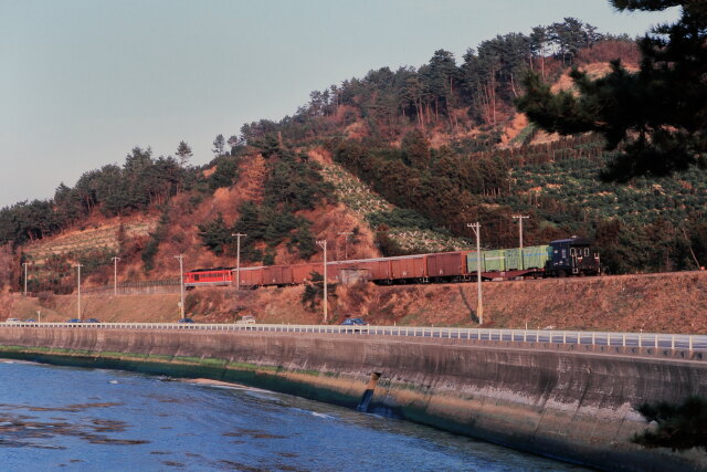 昭和の鉄道295 去り行く貨物列車