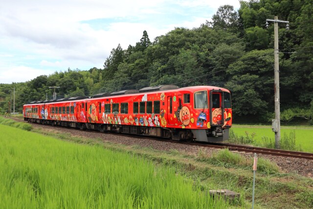 水田を走るアンパンマン列車