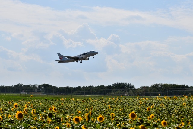 ひまわり空港