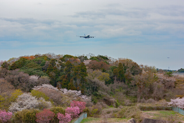 成田空港