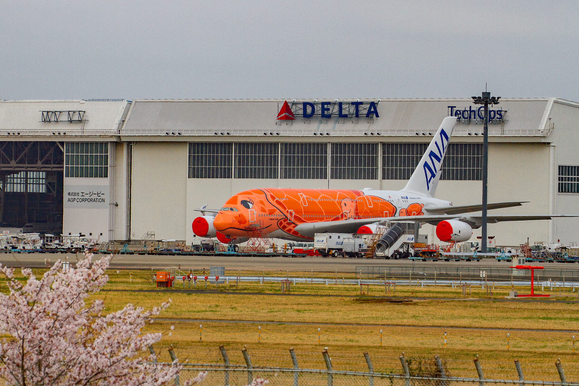 航空機 フライングホヌ3号機 壁紙19x1280 壁紙館