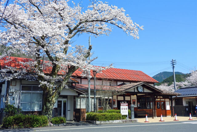 桜の季節 17 若桜駅