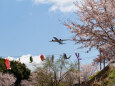 成田空港