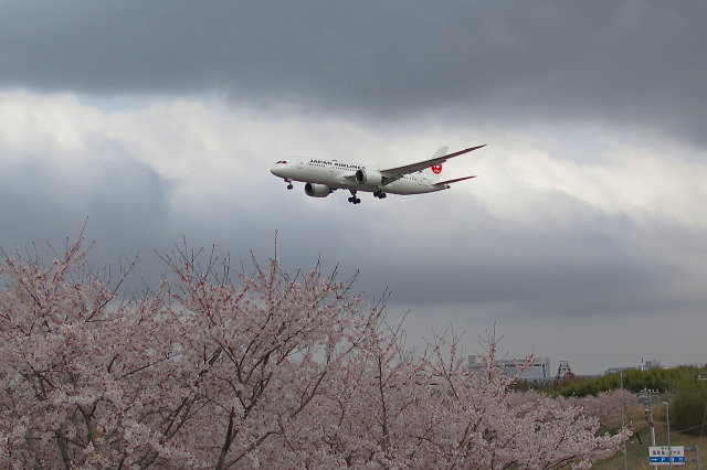 成田空港