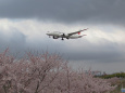 成田空港