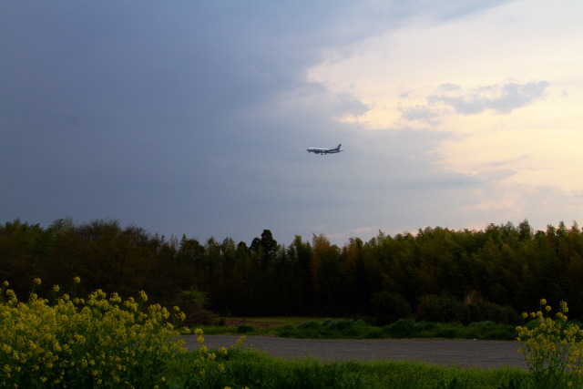 成田空港