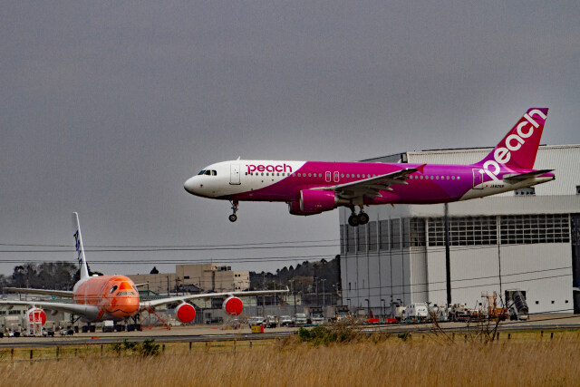 成田空港