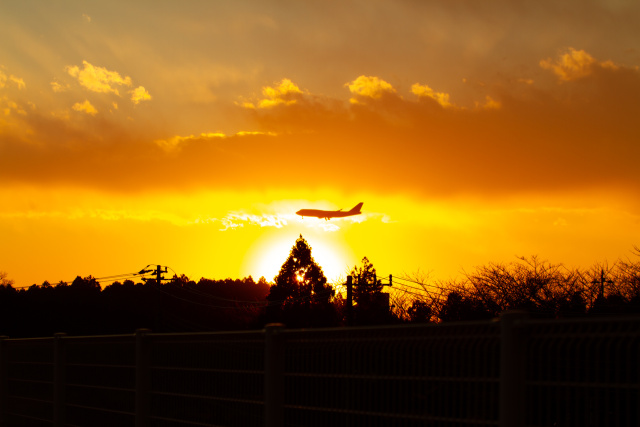 成田空港