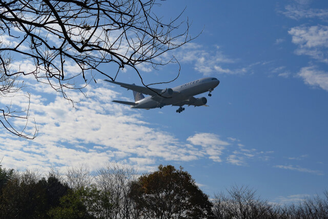 成田空港