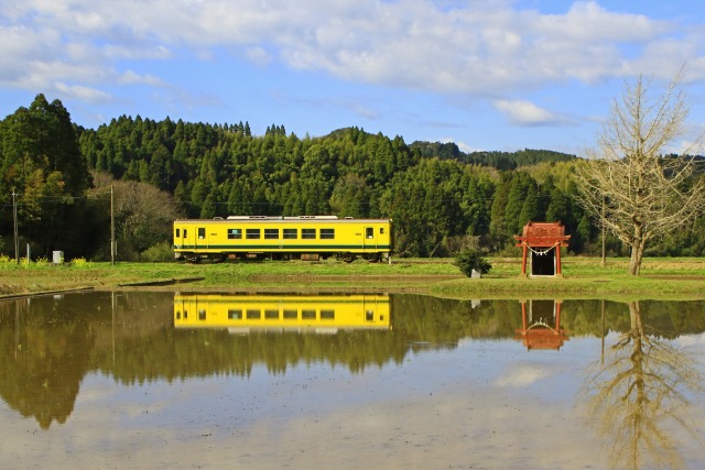 春のいすみ鉄道