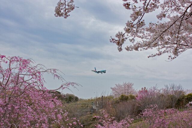 成田空港