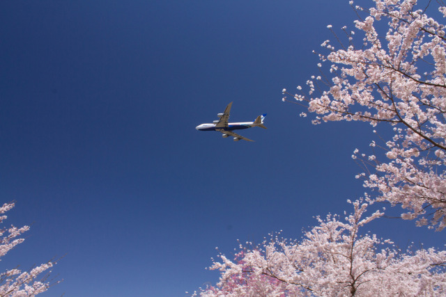 成田空港