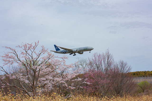 成田空港