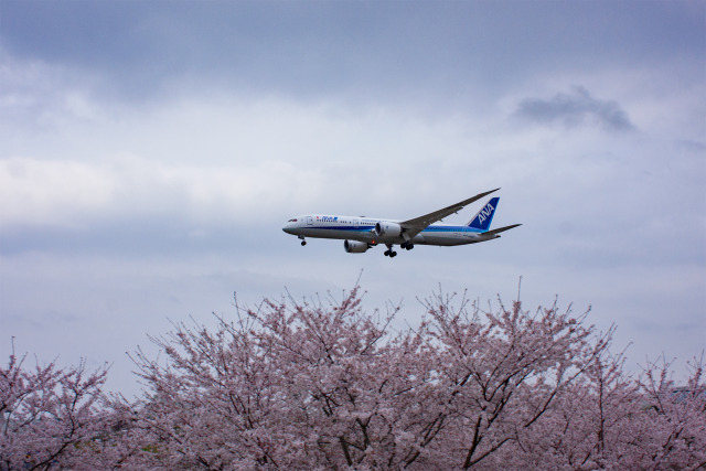 成田空港