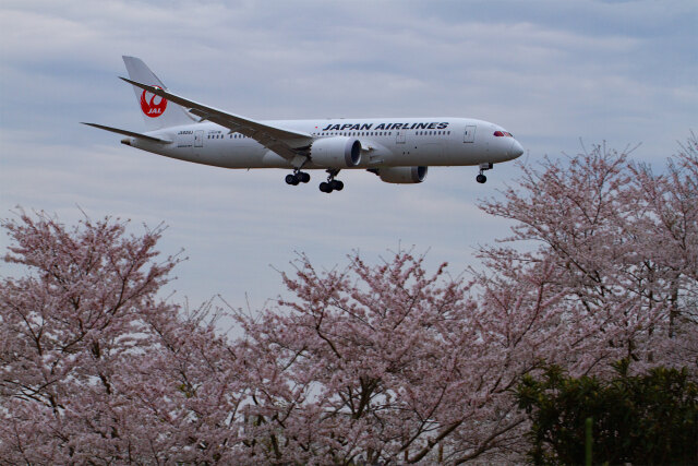 成田空港