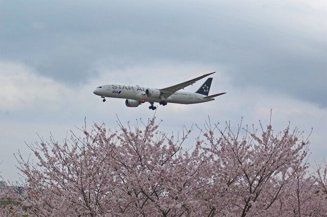 成田空港