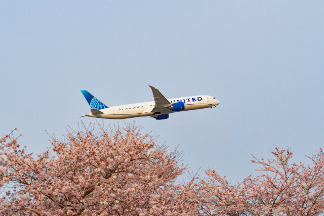 成田空港