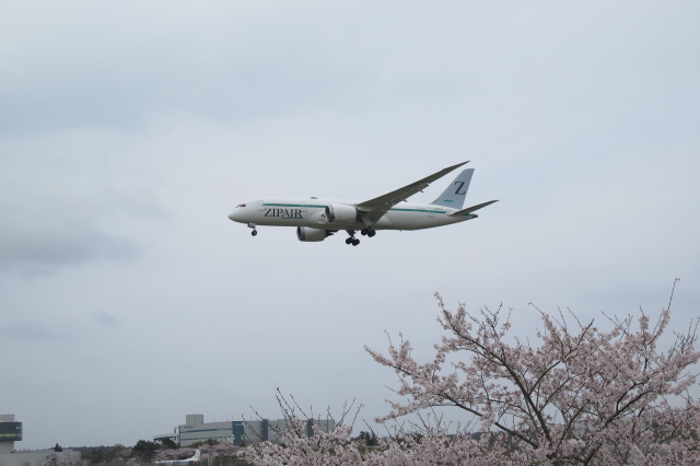 成田空港