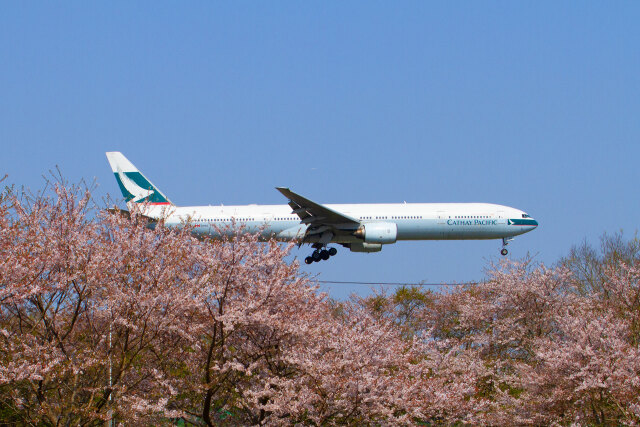 成田空港