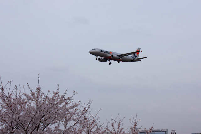 成田空港