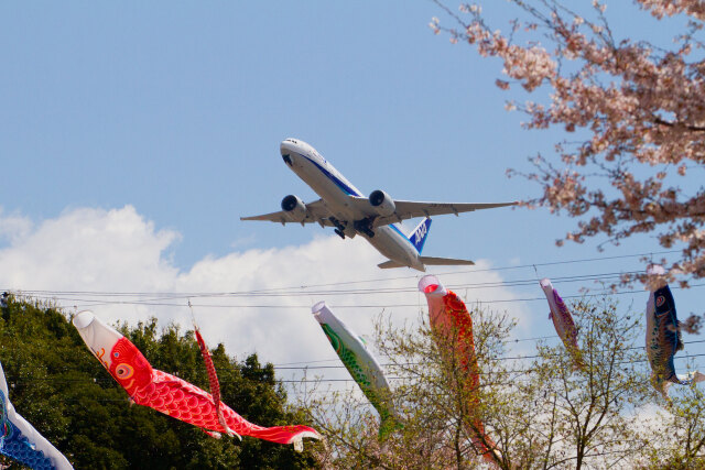 成田空港