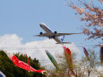 成田空港