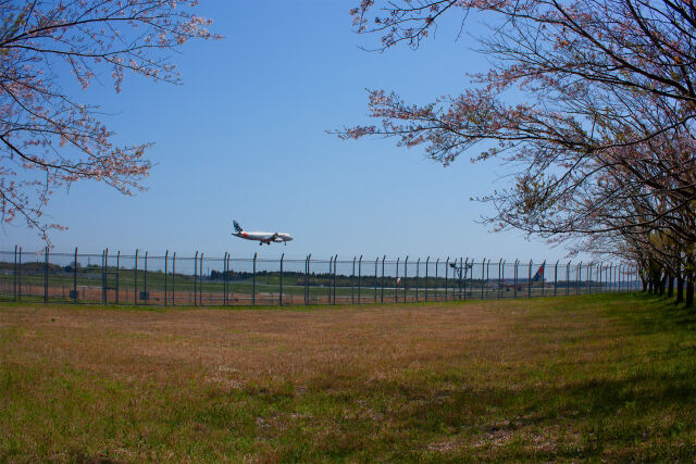 成田空港