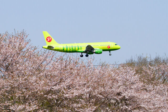 成田空港