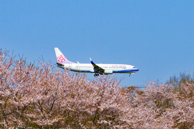 成田空港