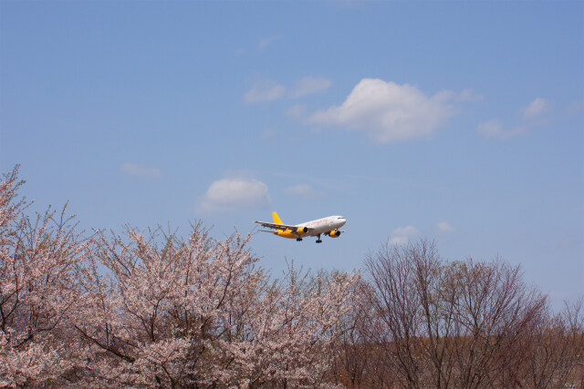 成田空港