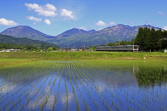 日光連山後にして