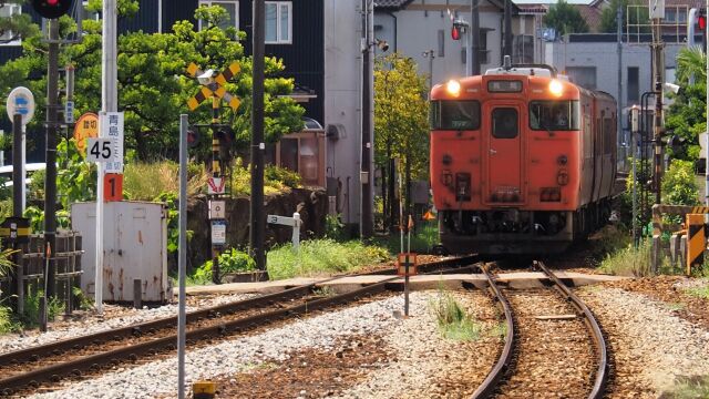 夏の城端線